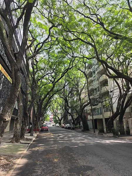Oportunidad para desarrolladores sobre Lope de Vega, Polanco — fotografía 4